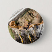 Seelöwen auf den Felsen Button (Vorderseite)