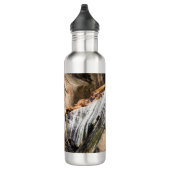 Seelöwen auf den Felsen Edelstahlflasche (Rechts)