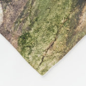 Seelöwen auf den Felsen Fleecedecke (Ecke)