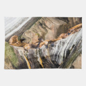 Seelöwen auf den Felsen Geschirrtuch (Horizontal)