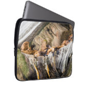 Seelöwen auf den Felsen Laptopschutzhülle (Vorne Rechts)