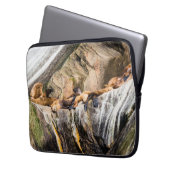 Seelöwen auf den Felsen Laptopschutzhülle (Vorderseite Links)