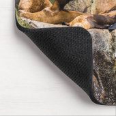 Seelöwen auf den Felsen Mousepad (Ecke)