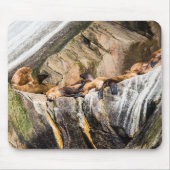 Seelöwen auf den Felsen Mousepad (Vorne)