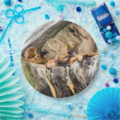 Seelöwen auf den Felsen Pappteller (Party)