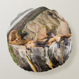 Seelöwen auf den Felsen Rundes Kissen