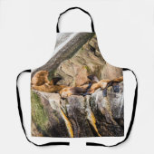 Seelöwen auf den Felsen Schürze (Vorderseite)
