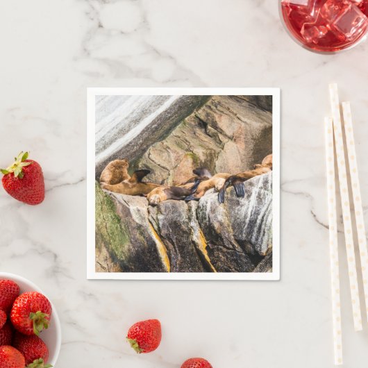 Seelöwen auf den Felsen Serviette (Beispiel)