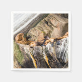 Seelöwen auf den Felsen Serviette (Vorderseite)