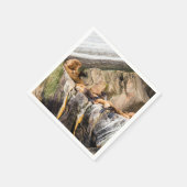 Seelöwen auf den Felsen Serviette (Ecke)