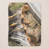 Seelöwen auf den Felsen Sherpadecke (Vorderseite)