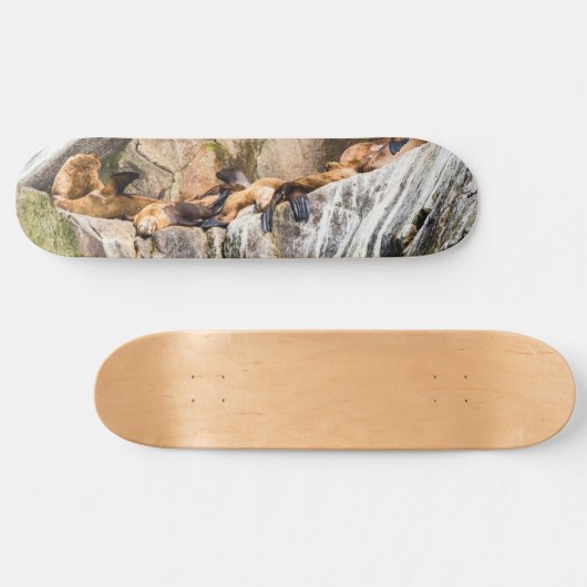 Seelöwen auf den Felsen Skateboard (Horizontal)
