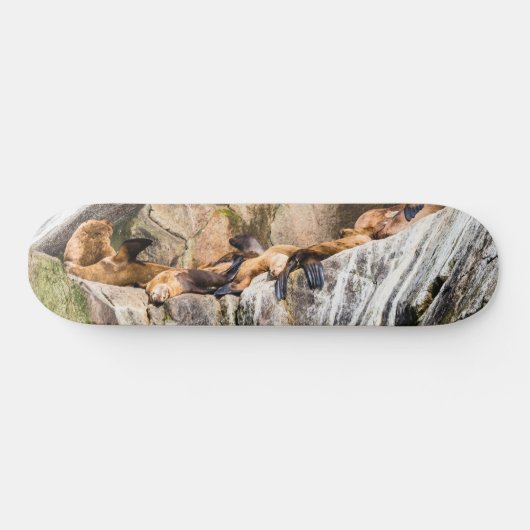 Seelöwen auf den Felsen Skateboard (Horizontal)