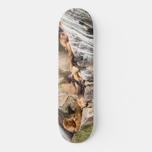 Seelöwen auf den Felsen Skateboard (Vorderseite)