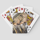 Seelöwen auf den Felsen Spielkarten (Rückseite)