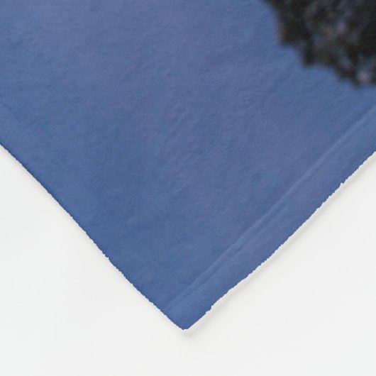 Seelöwen, die auf Strand | Ecuador schlafen Fleecedecke (Ecke)