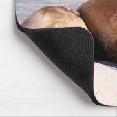 Seelöwen, die auf Strand | Ecuador schlafen Mousepad (Ecke)