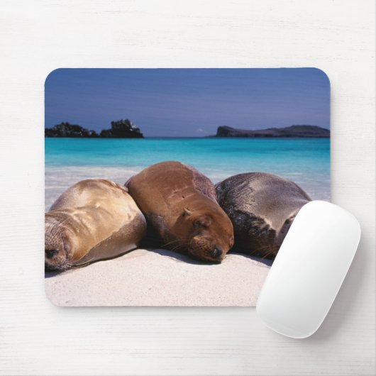 Seelöwen, die auf Strand | Ecuador schlafen Mousepad (Mit Mouse)