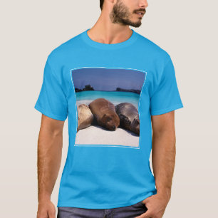 Seelöwen, die auf Strand Ecuador schlafen T-Shirt