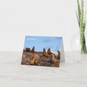 Seelöwen-Grußkarte Karte