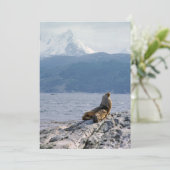 Seelöwen im Beagle - Argentinien Einladung (Stehend Vorderseite)