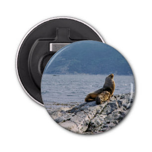 Seelöwen im Beagle - Argentinien Flaschenöffner