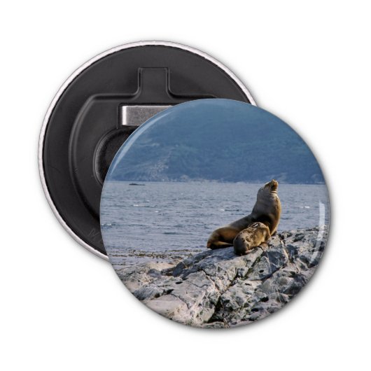 Seelöwen im Beagle - Argentinien Flaschenöffner (Vorderseite)