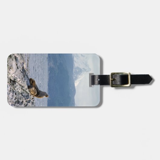 Seelöwen im Beagle - Argentinien Gepäckanhänger (Vorderseite horizontal)