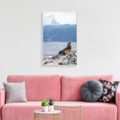 Seelöwen im Beagle - Argentinien Leinwanddruck (Insitu (Wohnzimmer))