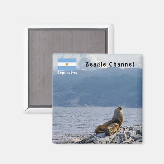 Seelöwen im Beagle - Argentinien Magnet (Vorderseite/Rückseite)