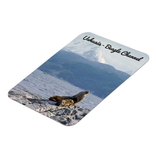 Seelöwen im Beagle - Argentinien Magnet (Linke Seite)