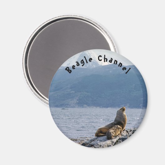 Seelöwen im Beagle - Argentinien Magnet (Vorderseite/Rückseite)