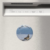 Seelöwen im Beagle - Argentinien Magnet (In Situ (Geschirrspüler))