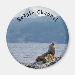 Seelöwen im Beagle - Argentinien Magnet