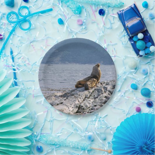 Seelöwen im Beagle - Argentinien Pappteller (Party)