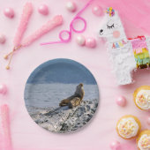 Seelöwen im Beagle - Argentinien Pappteller (Party)