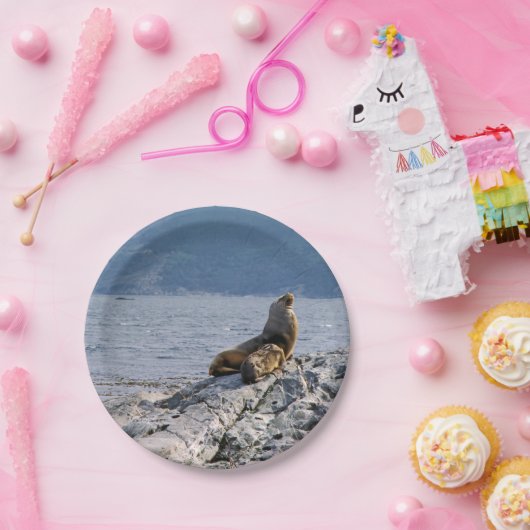 Seelöwen im Beagle - Argentinien Pappteller (Party)