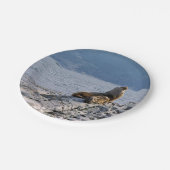 Seelöwen im Beagle - Argentinien Pappteller (Schrägansicht)