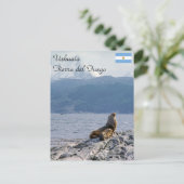 Seelöwen im Beagle - Argentinien Postkarte (Stehend Vorderseite)