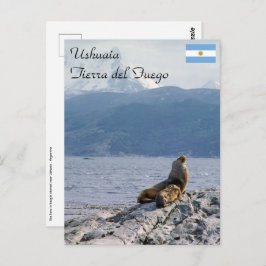 Seelöwen im Beagle - Argentinien Postkarte