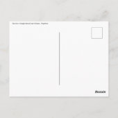 Seelöwen im Beagle - Argentinien Postkarte (Rückseite)