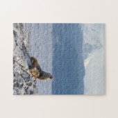 Seelöwen im Beagle - Argentinien Puzzle (Horizontal)