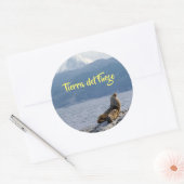 Seelöwen im Beagle - Argentinien Runder Aufkleber (Umschlag)