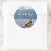 Seelöwen im Beagle - Argentinien Runder Aufkleber (Tasche)