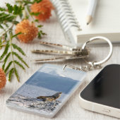 Seelöwen im Beagle - Argentinien Schlüsselanhänger (Vorderseite rechts)