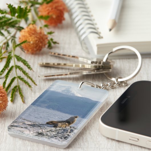 Seelöwen im Beagle - Argentinien Schlüsselanhänger (Vorderseite rechts)