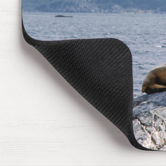 Seelöwen im Beagle-Kanal - Argentinien Mousepad (Ecke)