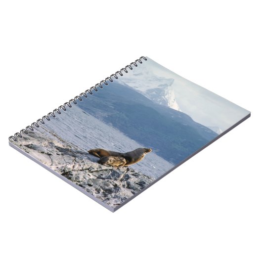 Seelöwen im Beagle-Kanal - Argentinien Notizblock (Linke Seite)