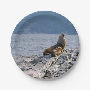 Seelöwen im Beagle-Kanal - Argentinien Pappteller
