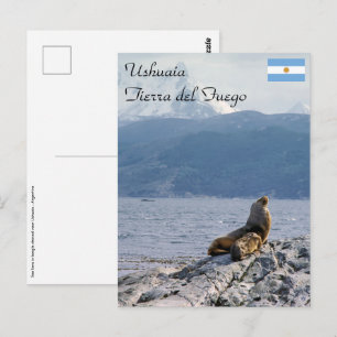 Seelöwen im Beagle-Kanal - Argentinien Postkarte